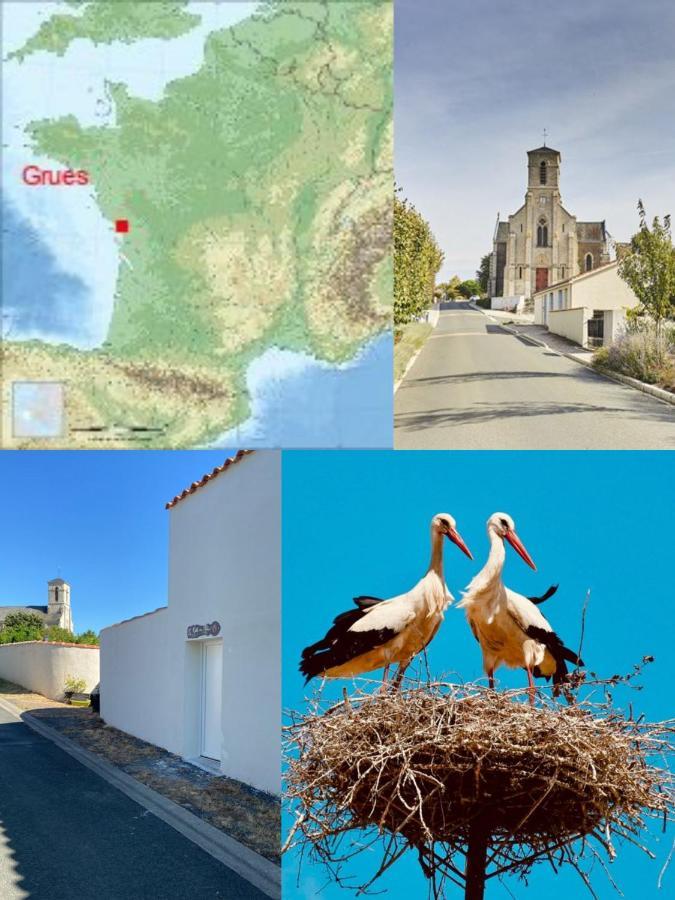 Galta Des Matrus Appartement Cosy 8Kms De L Ocean Grues المظهر الخارجي الصورة